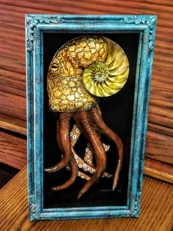 Framed Octo-shell cutaway